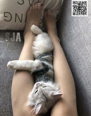 爱情网aqdybs风间由美_手机在线免费观看